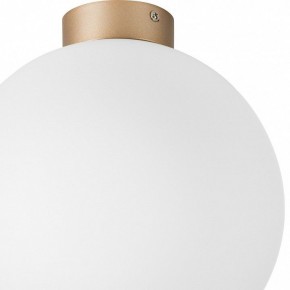 Накладной светильник Lightstar Globo 812033 в Невьянске - nevyansk.mebel24.online | фото 2