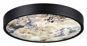 Накладной светильник Odeon Light Bergi 5064/30L в Невьянске - nevyansk.mebel24.online | фото 4