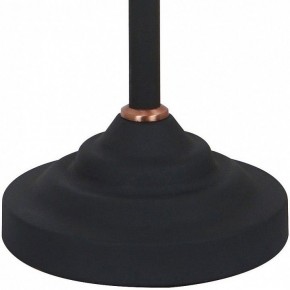 Настольная лампа офисная Arte Lamp Braccio A2054LT-1BK в Невьянске - nevyansk.mebel24.online | фото 4