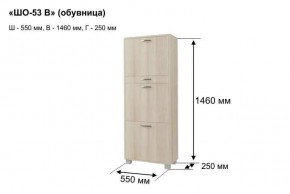 ШО-53 В тумба для обуви в Невьянске - nevyansk.mebel24.online | фото 8