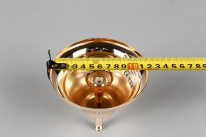 Подвесная люстра Aployt Daniele APL.701.03.12 в Невьянске - nevyansk.mebel24.online | фото 6