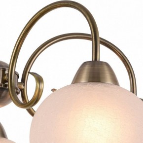 Подвесная люстра Arte Lamp Margo A9317LM-5AB в Невьянске - nevyansk.mebel24.online | фото 3