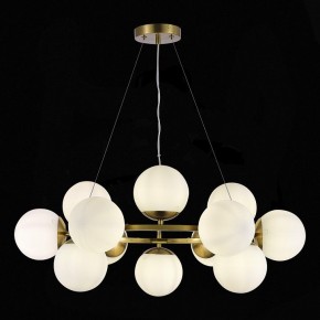 Подвесная люстра EVOLUCE Fratta SLE1191-203-12 в Невьянске - nevyansk.mebel24.online | фото 4