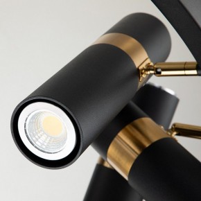 Подвесная люстра Favourite Light point 2997-9P в Невьянске - nevyansk.mebel24.online | фото 5