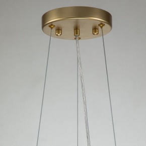 Подвесная люстра Favourite Rays 4058-8P в Невьянске - nevyansk.mebel24.online | фото 10