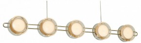 Подвесная люстра Favourite Yo-yo 4334-10P в Невьянске - nevyansk.mebel24.online | фото