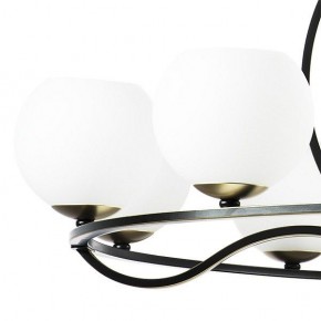 Подвесная люстра Lightstar Enna 762117 в Невьянске - nevyansk.mebel24.online | фото 4
