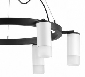 Подвесная люстра Lightstar Rullo LR0163661 в Невьянске - nevyansk.mebel24.online | фото 5