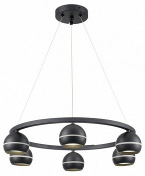 Подвесная люстра Lumion Luazana 8242/6 в Невьянске - nevyansk.mebel24.online | фото 3