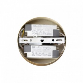Подвесная люстра Lumion Parker 6564/60L в Невьянске - nevyansk.mebel24.online | фото 6