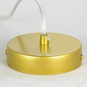 Подвесная люстра Lussole Downey LSP-8804 в Невьянске - nevyansk.mebel24.online | фото 6