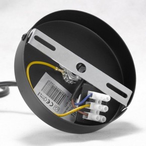 Подвесная люстра Lussole Kenner GRLSP-8271 в Невьянске - nevyansk.mebel24.online | фото 7