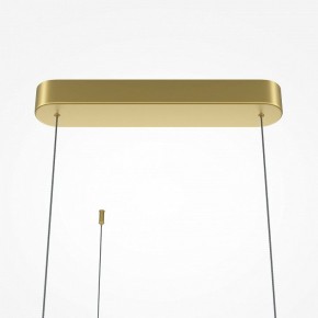Подвесная люстра Maytoni Radiance MOD278PL-L50G3K в Невьянске - nevyansk.mebel24.online | фото 7