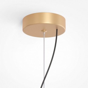Подвесная люстра Maytoni Reels MOD268PL-03G в Невьянске - nevyansk.mebel24.online | фото 5