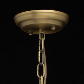 Подвесная люстра MW-Light Альгеро 3 285010703 в Невьянске - nevyansk.mebel24.online | фото 14