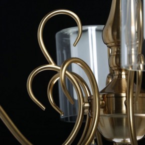 Подвесная люстра MW-Light Эллегия 8 303012708 в Невьянске - nevyansk.mebel24.online | фото 7