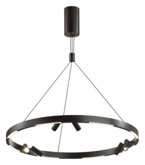 Подвесная люстра Odeon Light Beveren 6683/103L в Невьянске - nevyansk.mebel24.online | фото 2