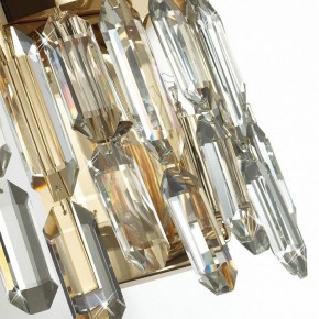 Подвесная люстра Odeon Light Dakisa 4986/12 в Невьянске - nevyansk.mebel24.online | фото 8