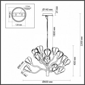 Подвесная люстра Odeon Light Gardi 5090/15 в Невьянске - nevyansk.mebel24.online | фото 6