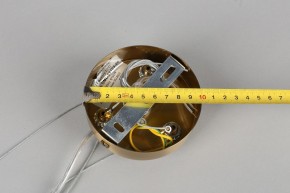 Подвесная люстра Omnilux Ales OML-69103-06 в Невьянске - nevyansk.mebel24.online | фото 11