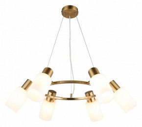 Подвесная люстра Omnilux Ales OML-69103-06 в Невьянске - nevyansk.mebel24.online | фото 2