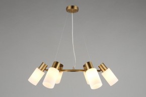 Подвесная люстра Omnilux Ales OML-69103-06 в Невьянске - nevyansk.mebel24.online | фото 4