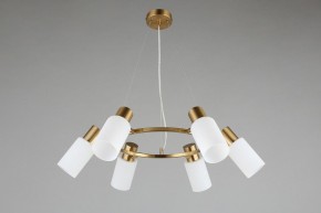 Подвесная люстра Omnilux Ales OML-69103-06 в Невьянске - nevyansk.mebel24.online | фото 5