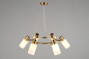 Подвесная люстра Omnilux Ales OML-69103-06 в Невьянске - nevyansk.mebel24.online | фото 6