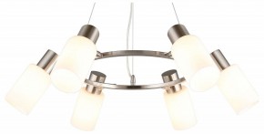 Подвесная люстра Omnilux Ales OML-69113-06 в Невьянске - nevyansk.mebel24.online | фото 2