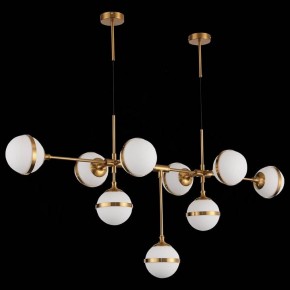 Подвесная люстра ST-Luce Arbe SL1157.303.09 в Невьянске - nevyansk.mebel24.online | фото 4
