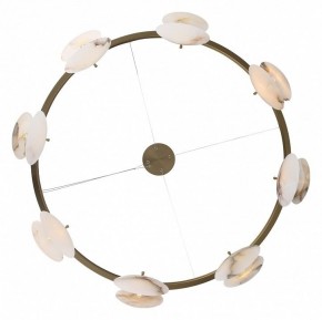 Подвесная люстра ST-Luce Clam SL1520.303.08 в Невьянске - nevyansk.mebel24.online | фото 4