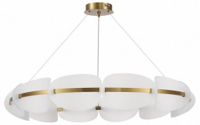 Подвесная люстра ST-Luce Etoile SL1304.203.65 в Невьянске - nevyansk.mebel24.online | фото 3