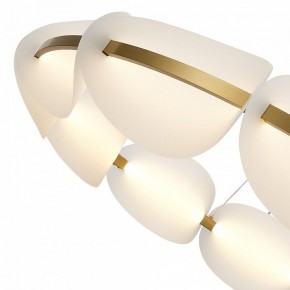 Подвесная люстра ST-Luce Etoile SL1304.203.65 в Невьянске - nevyansk.mebel24.online | фото 6