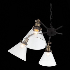 Подвесная люстра ST-Luce Evoluto SL237.413.05 в Невьянске - nevyansk.mebel24.online | фото 7