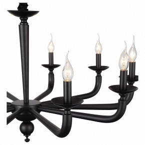 Подвесная люстра ST-Luce SL1114 SL1114.403.10 в Невьянске - nevyansk.mebel24.online | фото 4