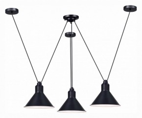 Подвесная люстра ST-Luce Svevo SL1804.403.03 в Невьянске - nevyansk.mebel24.online | фото 2