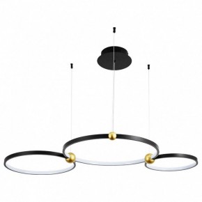Подвесной светильник Divinare Amadeo 1123/04 SP-75 в Невьянске - nevyansk.mebel24.online | фото