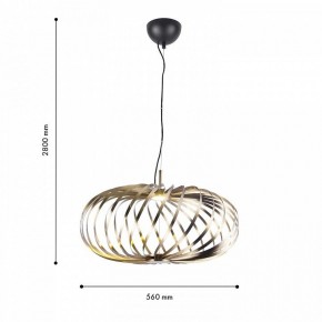 Подвесной светильник Favourite Spring 4680-1P в Невьянске - nevyansk.mebel24.online | фото 4