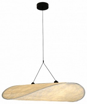Подвесной светильник Kink Light Брами 08022-100A,01 в Невьянске - nevyansk.mebel24.online | фото 2