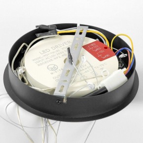 Подвесной светильник Lussole Hale LSP-7380 в Невьянске - nevyansk.mebel24.online | фото 6