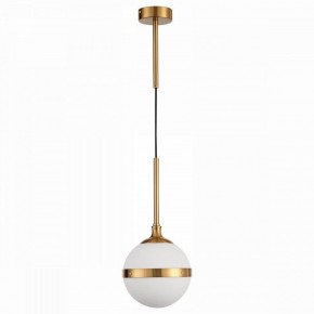 Подвесной светильник ST-Luce Arbe SL1157.303.01 в Невьянске - nevyansk.mebel24.online | фото 2