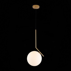 Подвесной светильник ST-Luce Codda SL1148.303.01 в Невьянске - nevyansk.mebel24.online | фото 5