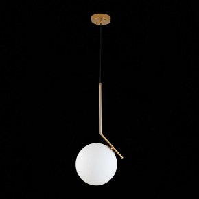 Подвесной светильник ST-Luce Codda SL1148.303.01 в Невьянске - nevyansk.mebel24.online | фото 6
