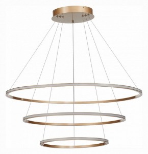 Подвесной светильник ST-Luce ST604 OUT ST604.243.114 в Невьянске - nevyansk.mebel24.online | фото 2