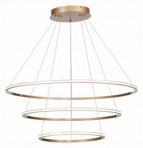 Подвесной светильник ST-Luce ST604 OUT ST604.243.114 в Невьянске - nevyansk.mebel24.online | фото 3
