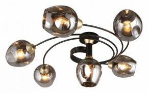 Потолочная люстра Aployt Flor APL.611.17.06 в Невьянске - nevyansk.mebel24.online | фото 13