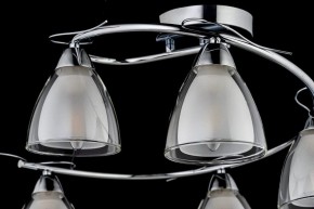Потолочная люстра Arti Lampadari Paola, Tavenna Nickel Paola E 1.1.5 N в Невьянске - nevyansk.mebel24.online | фото 4