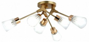 Потолочная люстра Escada Felicia 1137/6P в Невьянске - nevyansk.mebel24.online | фото 2