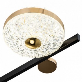 Потолочная люстра Escada Liberta 10219/6LED в Невьянске - nevyansk.mebel24.online | фото 6