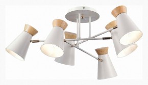 Потолочная люстра EVOLUCE Alfeo SLE1252-502-06 в Невьянске - nevyansk.mebel24.online | фото